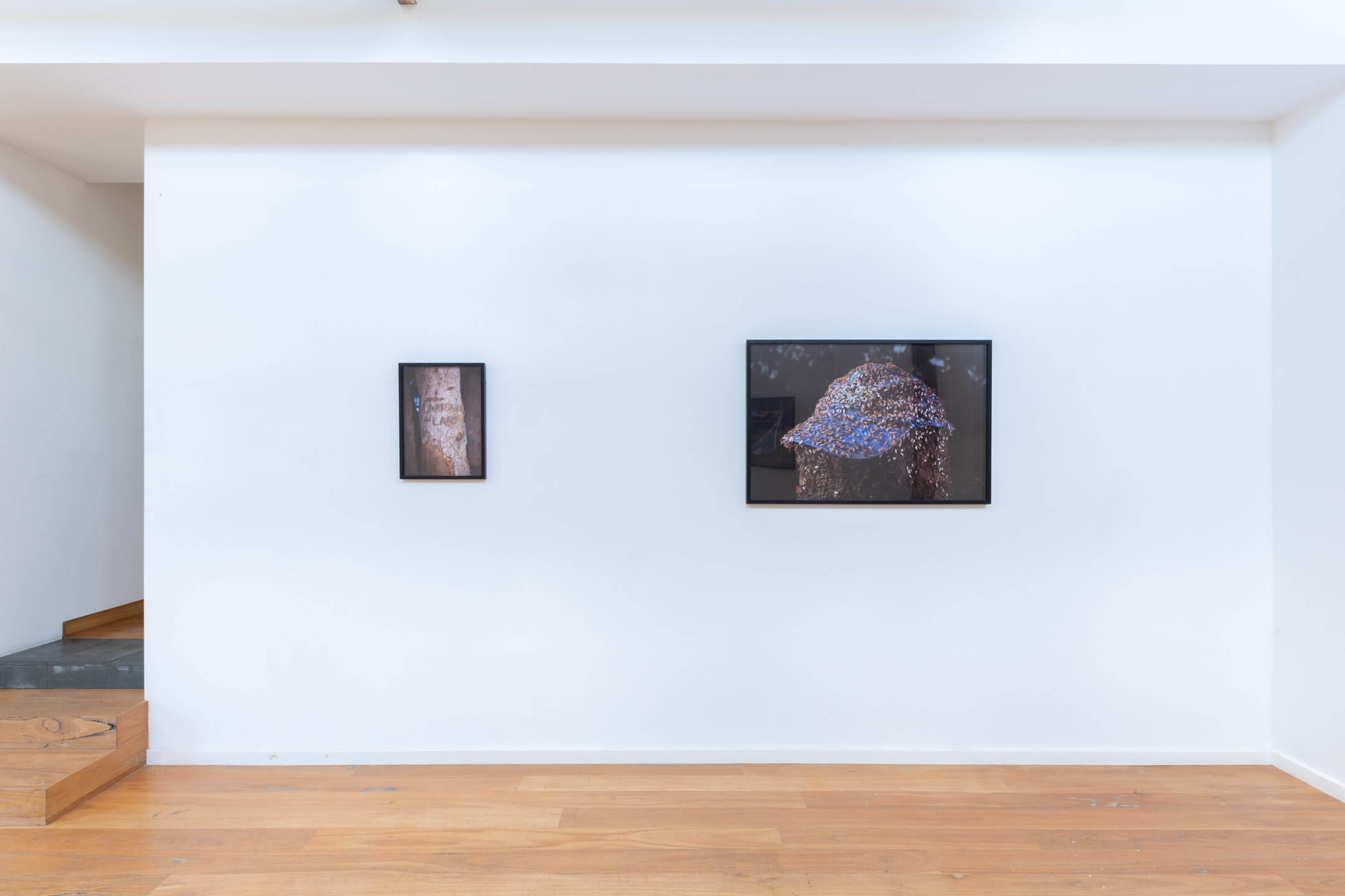 Coates-Fenwick-The-Lennox-20220210_DSC7871-edit