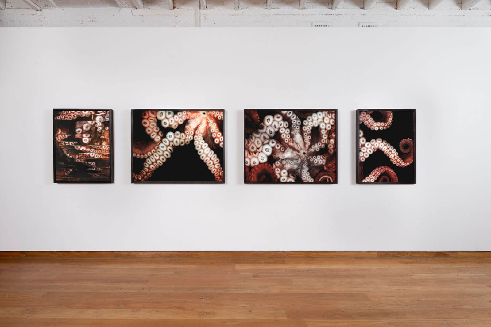 250407AKMPHDJM_18516-Edit